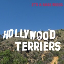 height_250_width_250_22Hollywood_Terriers22_Art